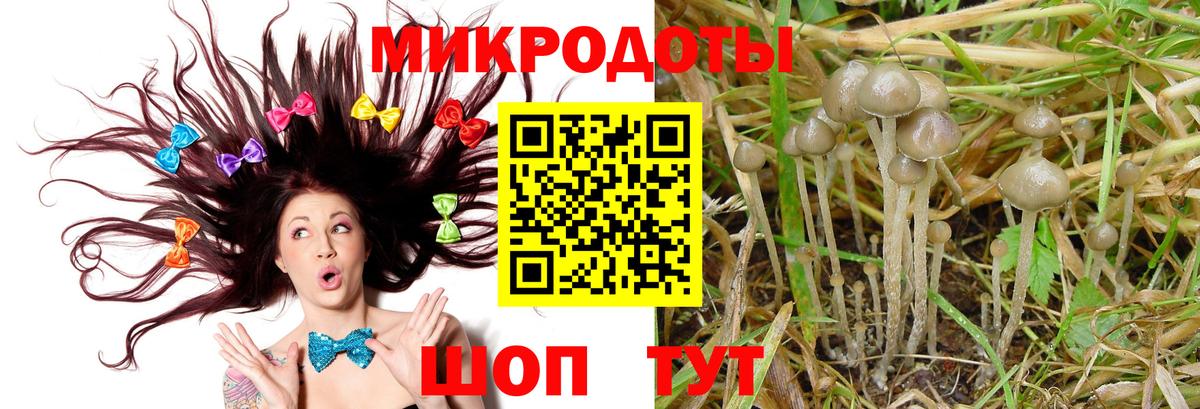 Псилоцибиновые грибы Psilocybine cubensis Тула