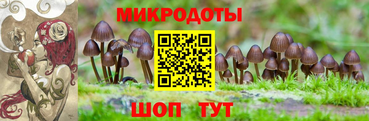 Псилоцибиновые грибы мухоморы  Вход с VPN  Тула  Псилоцибиновые грибы Psilocybine cubensis 